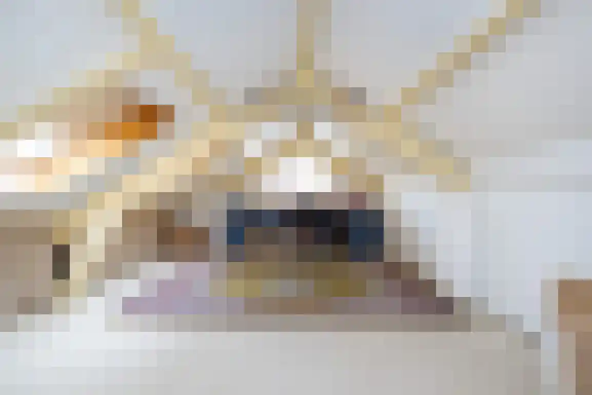 Kortewegje 40 Sommelsdijk thumbnail 32