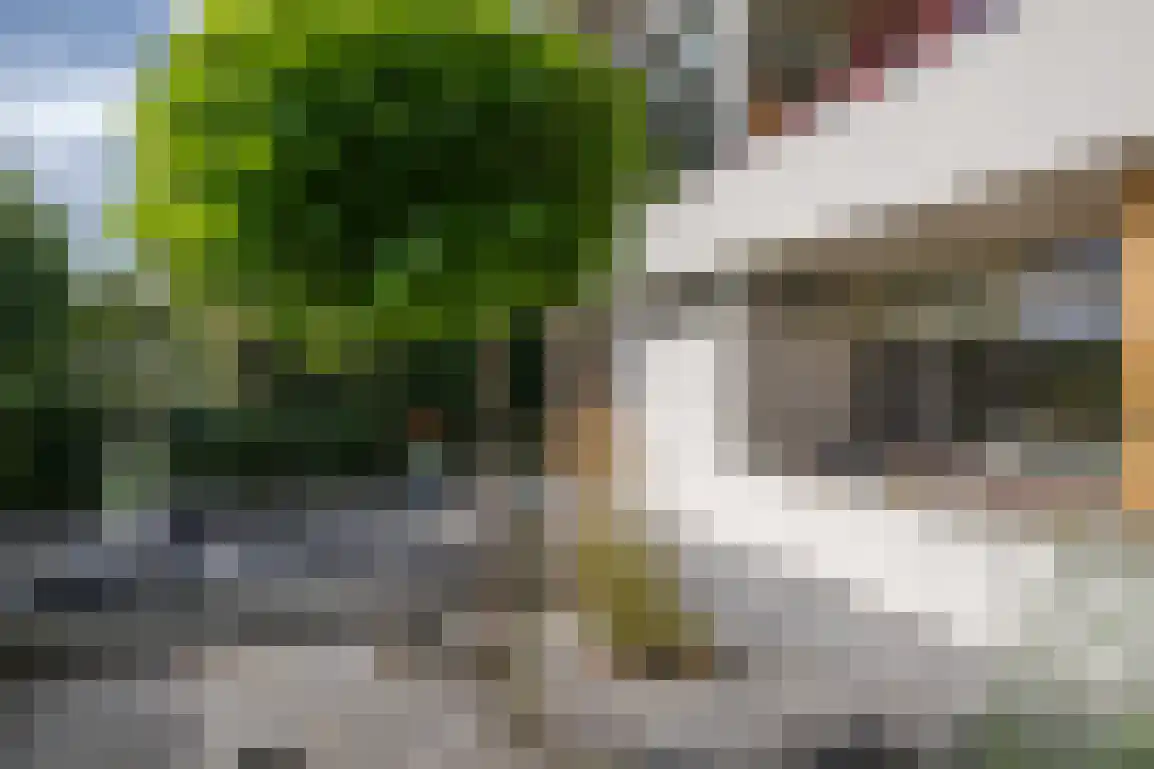 Kortewegje 40 Sommelsdijk thumbnail 36