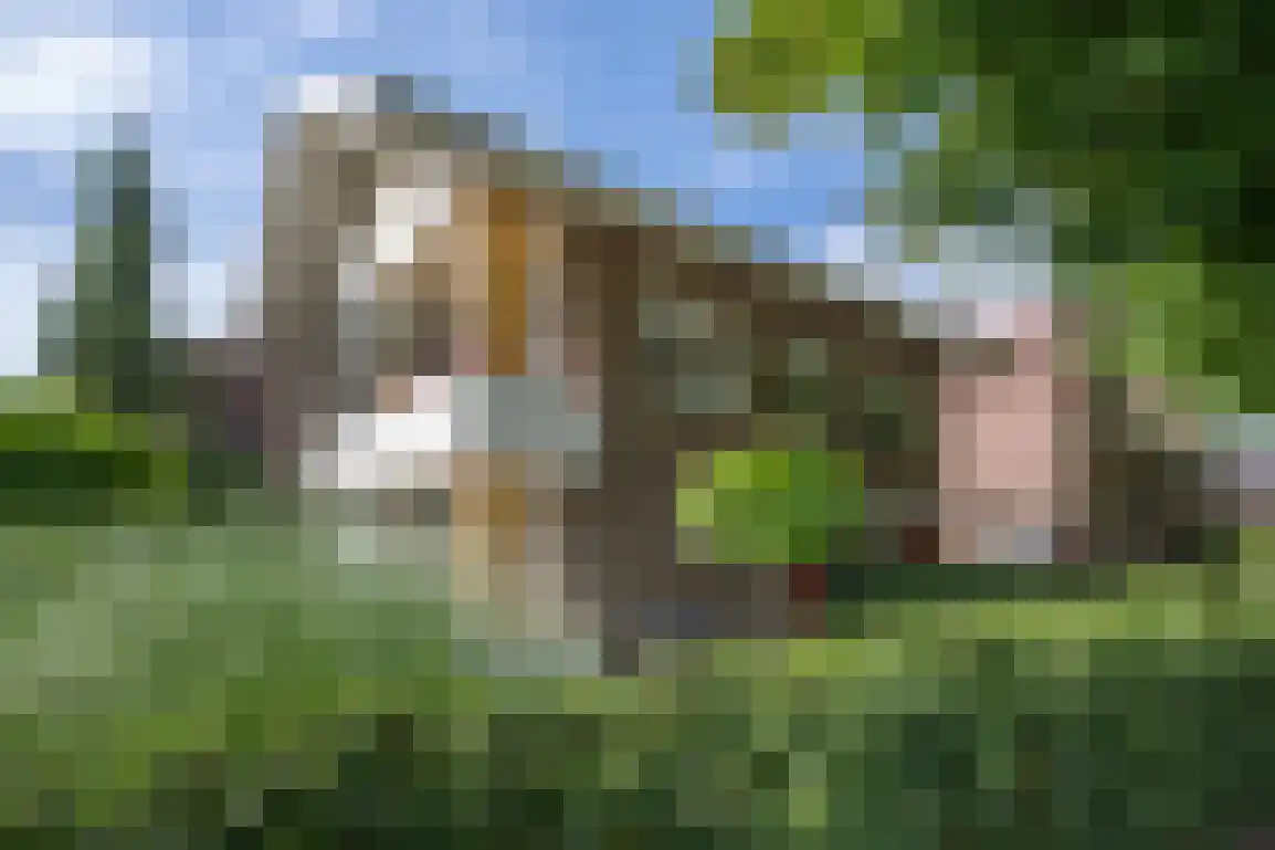 Kortewegje 40 Sommelsdijk thumbnail 40
