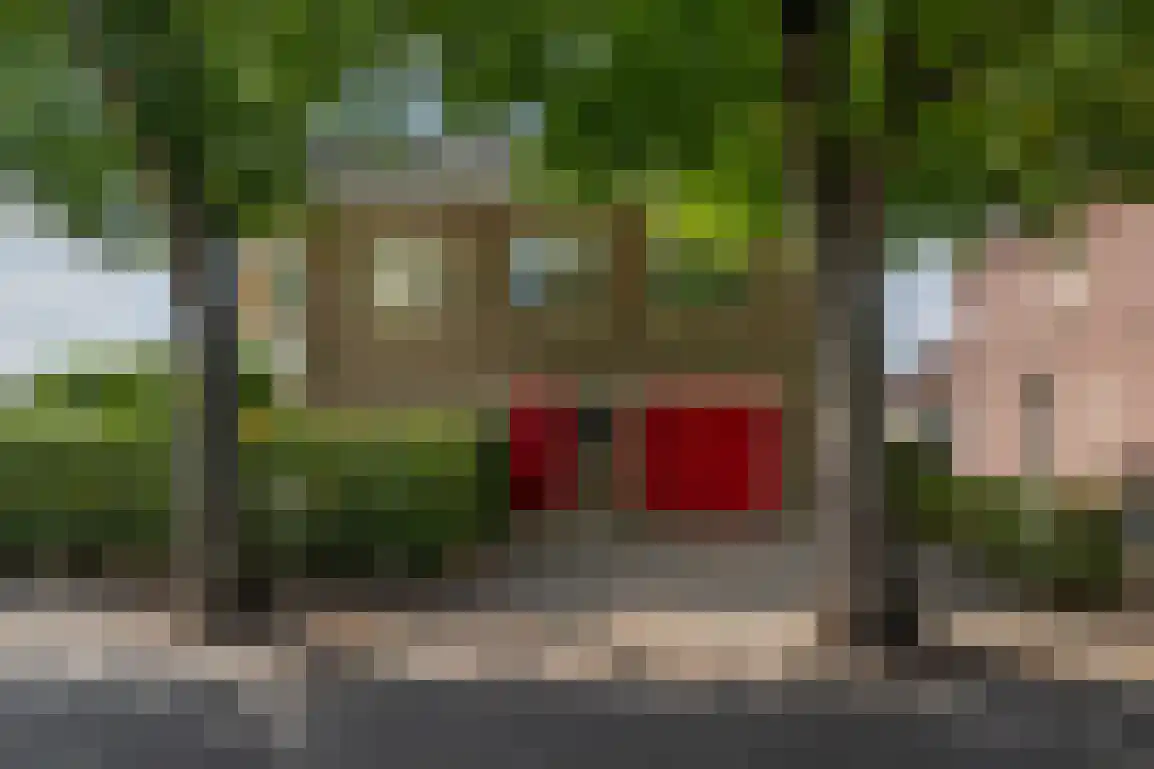 Kortewegje 40 Sommelsdijk thumbnail 41