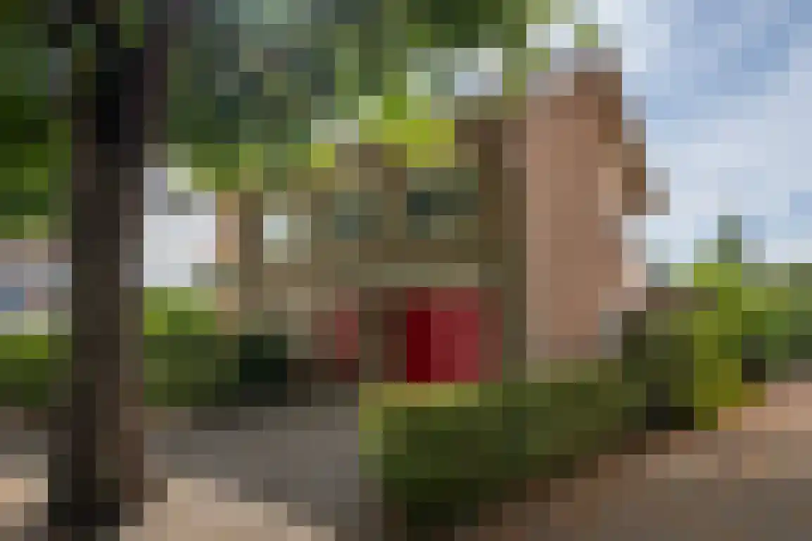 Kortewegje 40 Sommelsdijk thumbnail 43