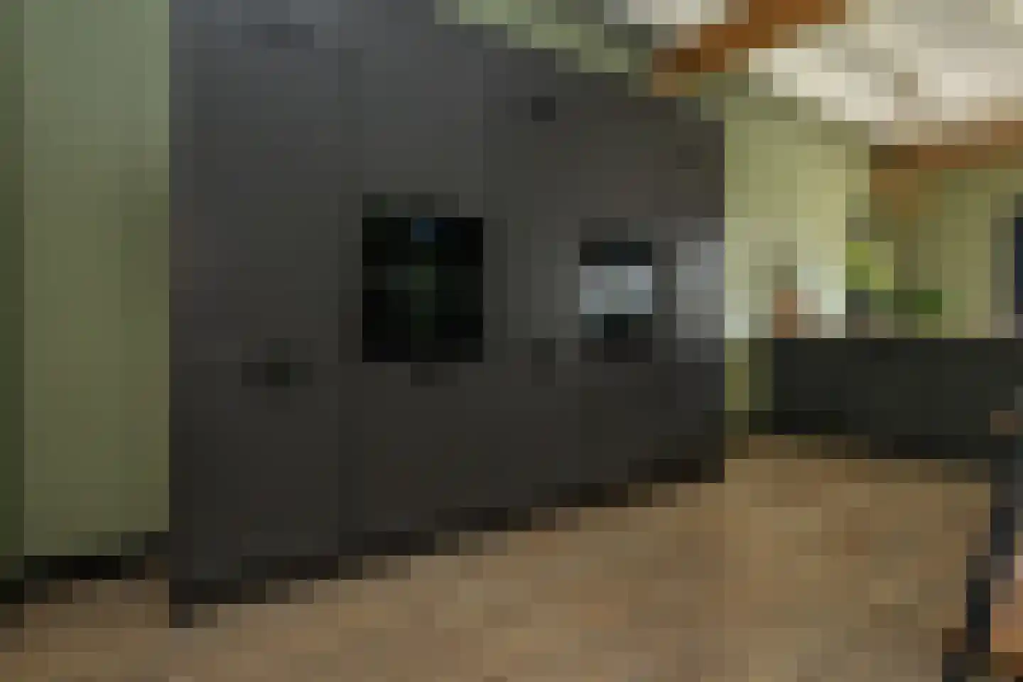 Kortewegje 7 Sommelsdijk thumbnail 12