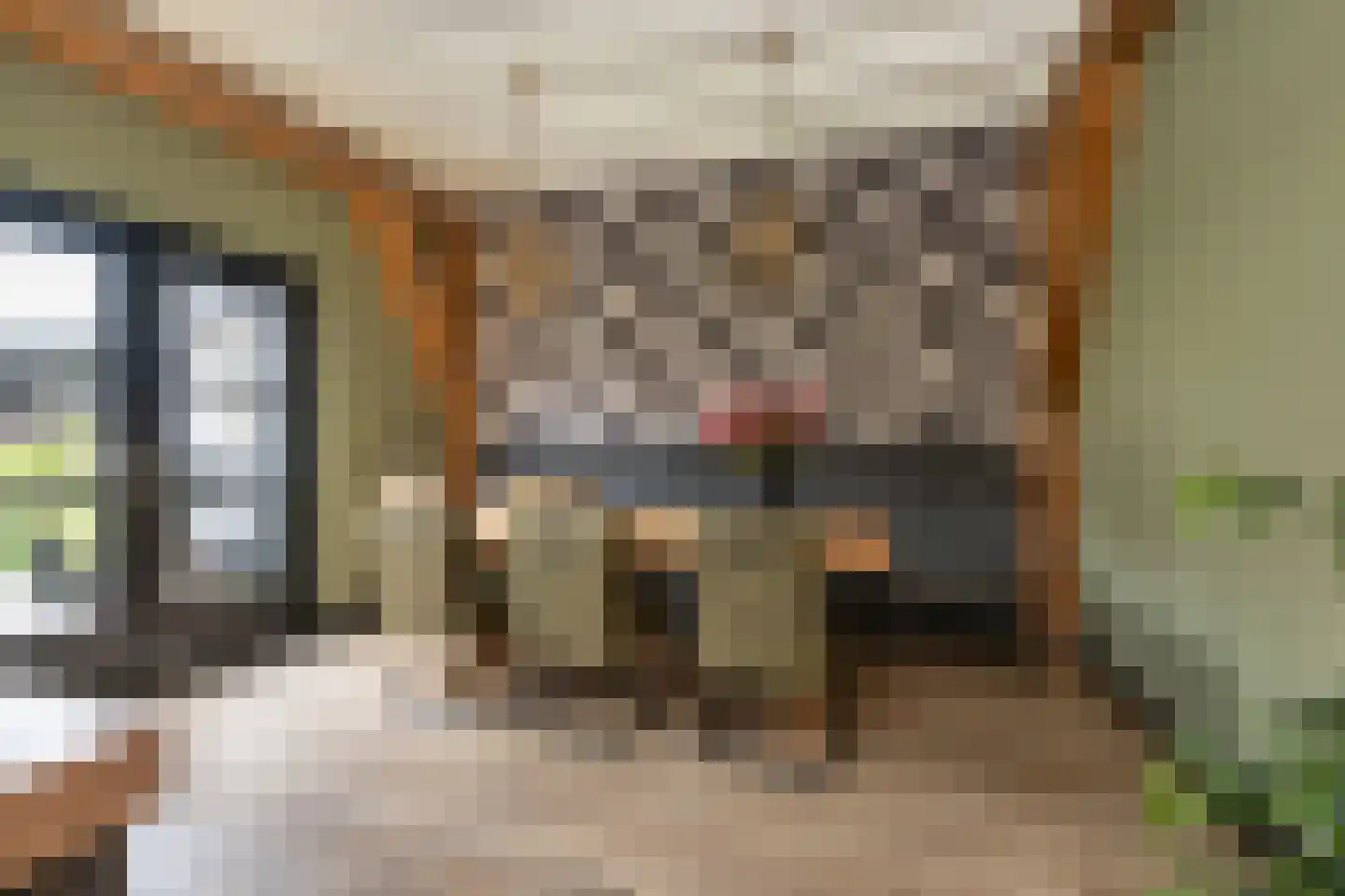 Kortewegje 7 Sommelsdijk thumbnail 13
