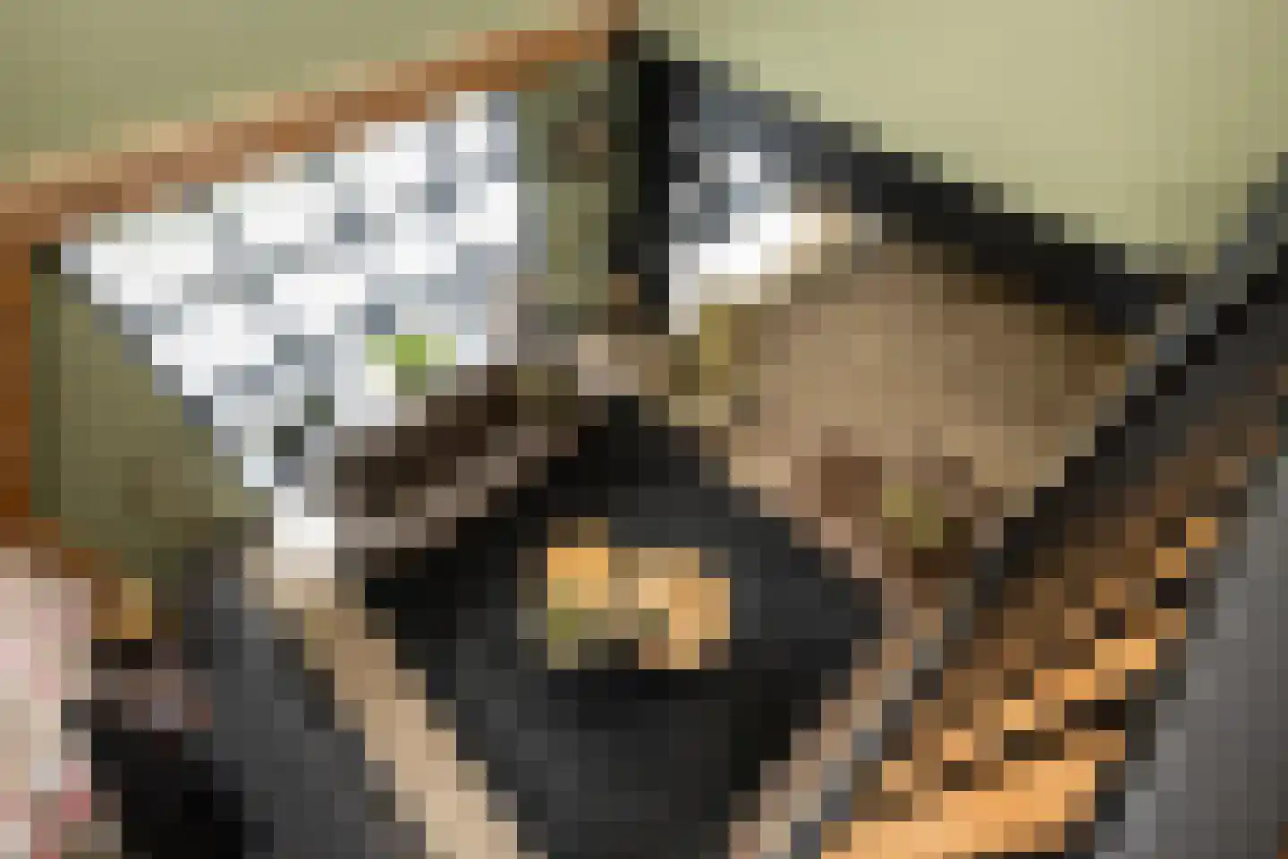 Kortewegje 7 Sommelsdijk thumbnail 18
