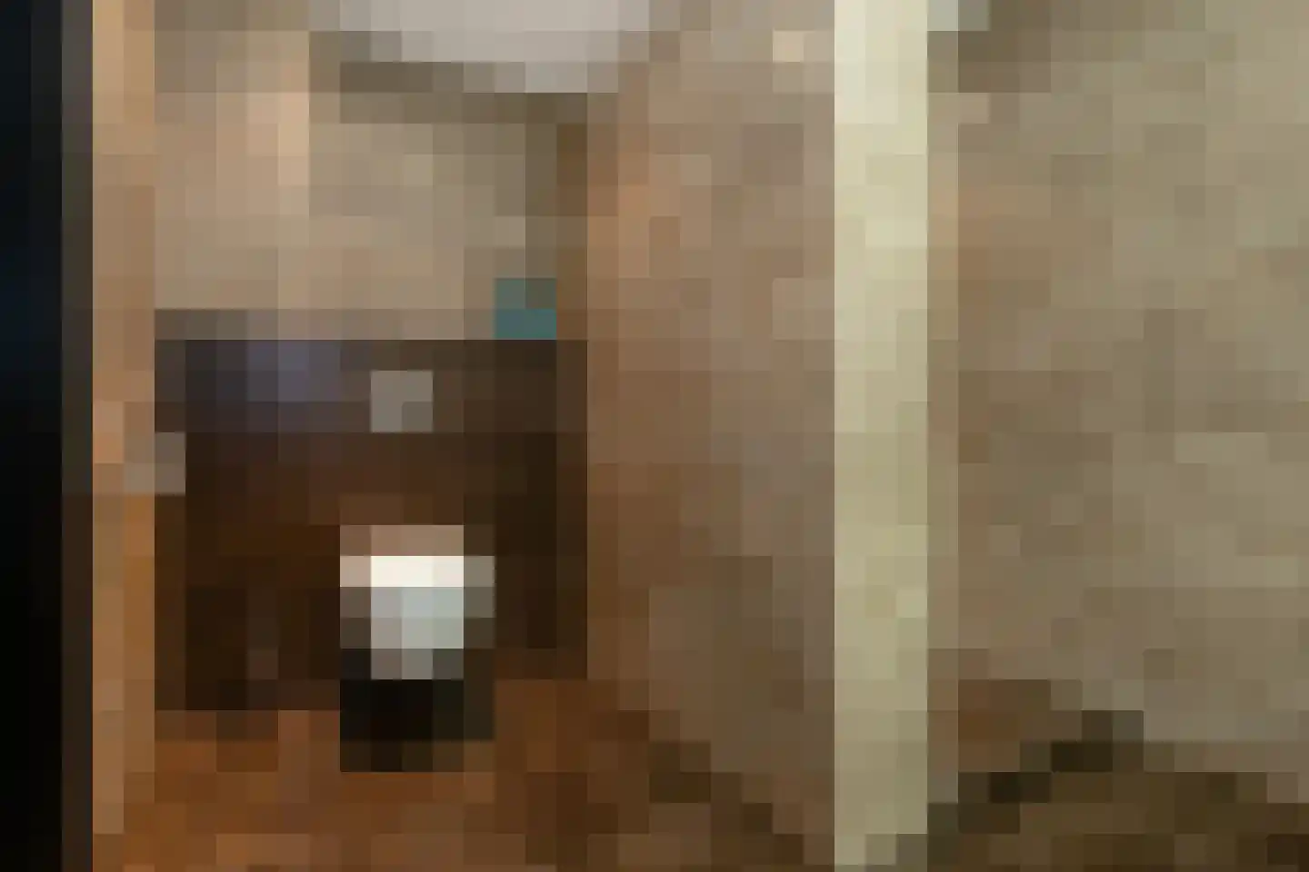 Kortewegje 7 Sommelsdijk thumbnail 21