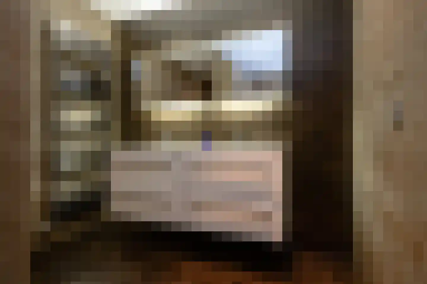 Kortewegje 7 Sommelsdijk thumbnail 22