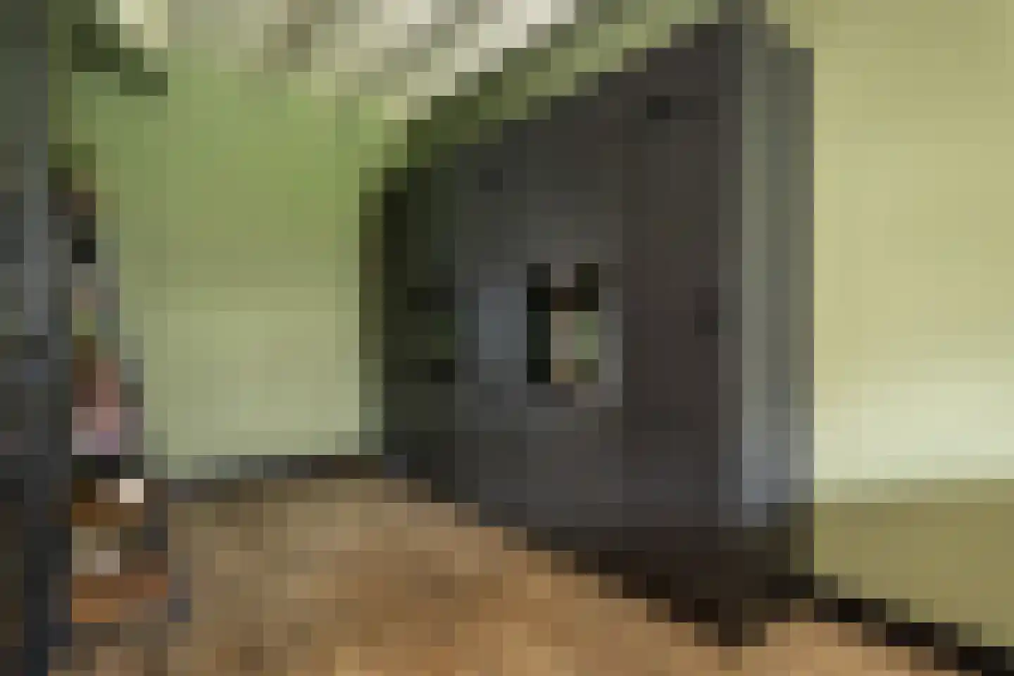 Kortewegje 7 Sommelsdijk thumbnail 4