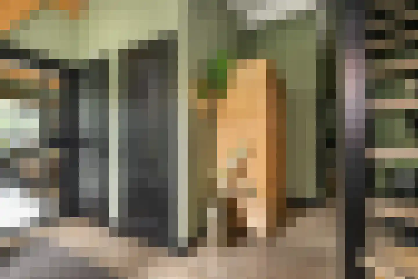 Kortewegje 7 Sommelsdijk thumbnail 5