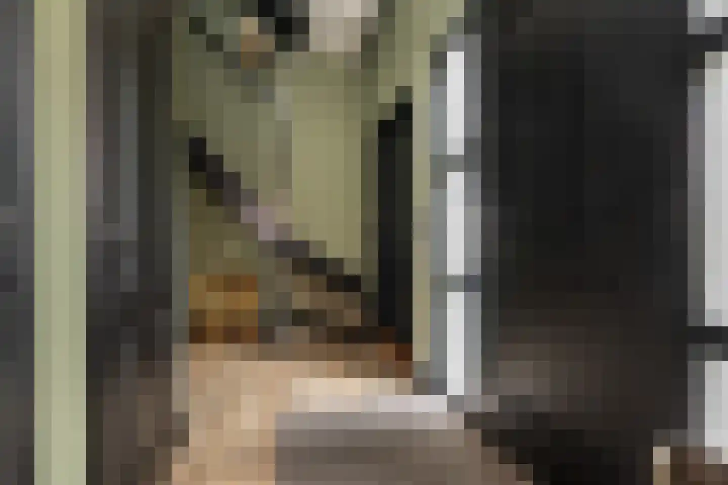 Kortewegje 7 Sommelsdijk thumbnail 6
