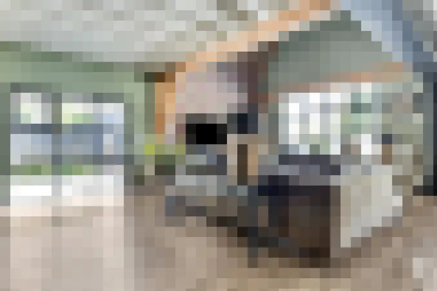 Kortewegje 7 Sommelsdijk thumbnail 7