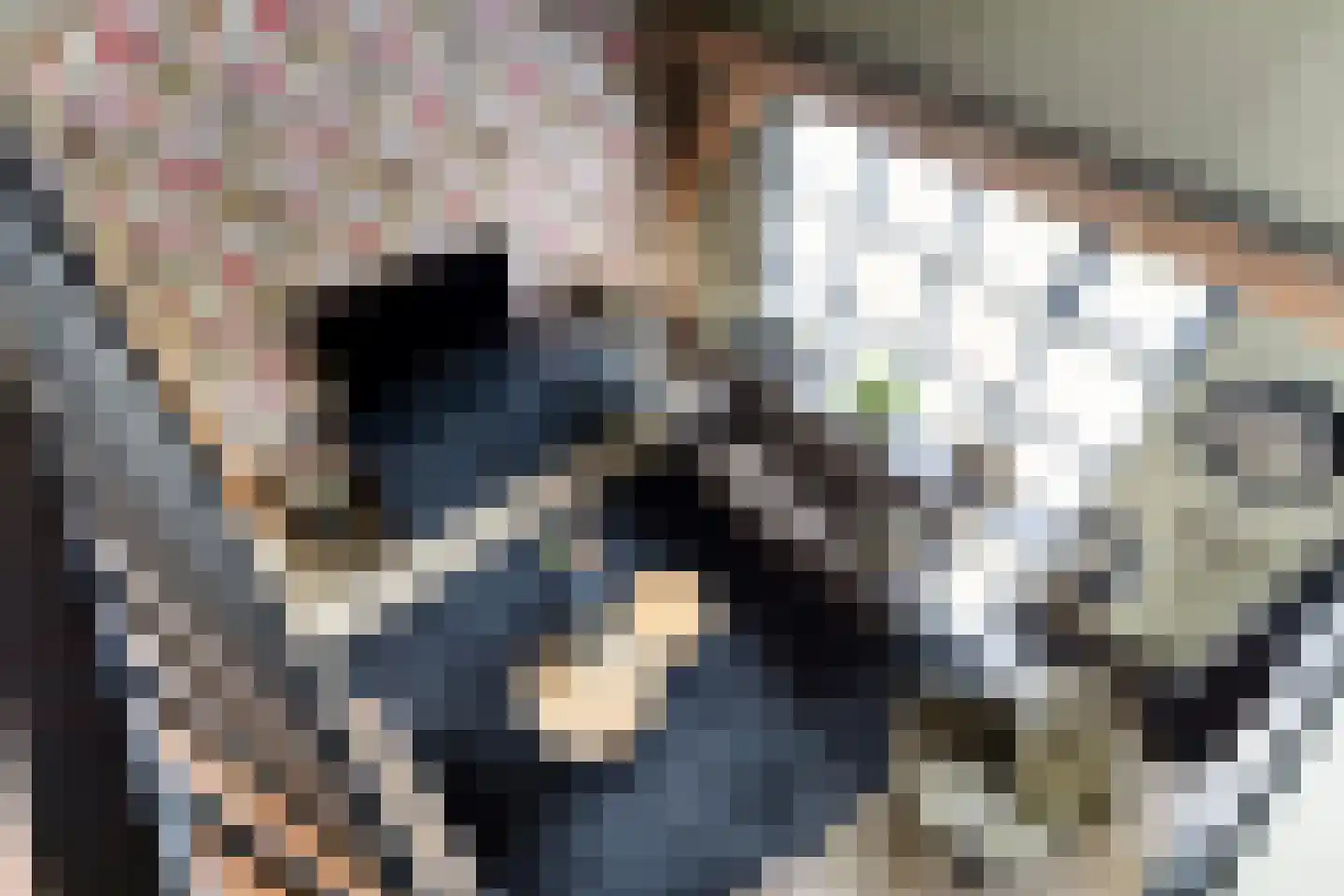 Kortewegje 7 Sommelsdijk thumbnail 9