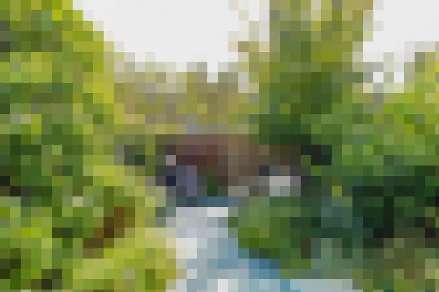 Korteweid 10 Velserbroek thumbnail 32