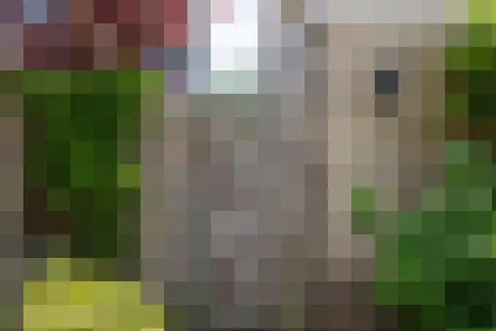 Korteweid 12 Velserbroek thumbnail 19