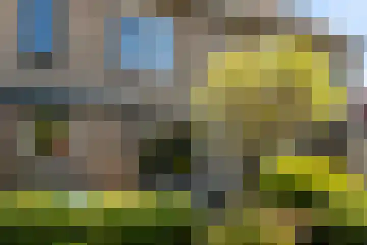 Korteweid 12 Velserbroek thumbnail 7