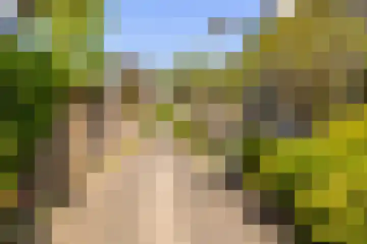 Korteweid 12 Velserbroek thumbnail 8