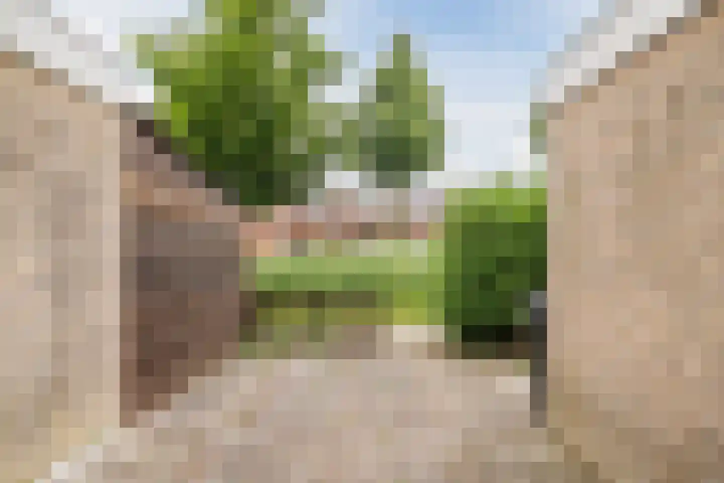 Korteweide 16 Zuid-Scharwoude thumbnail 27