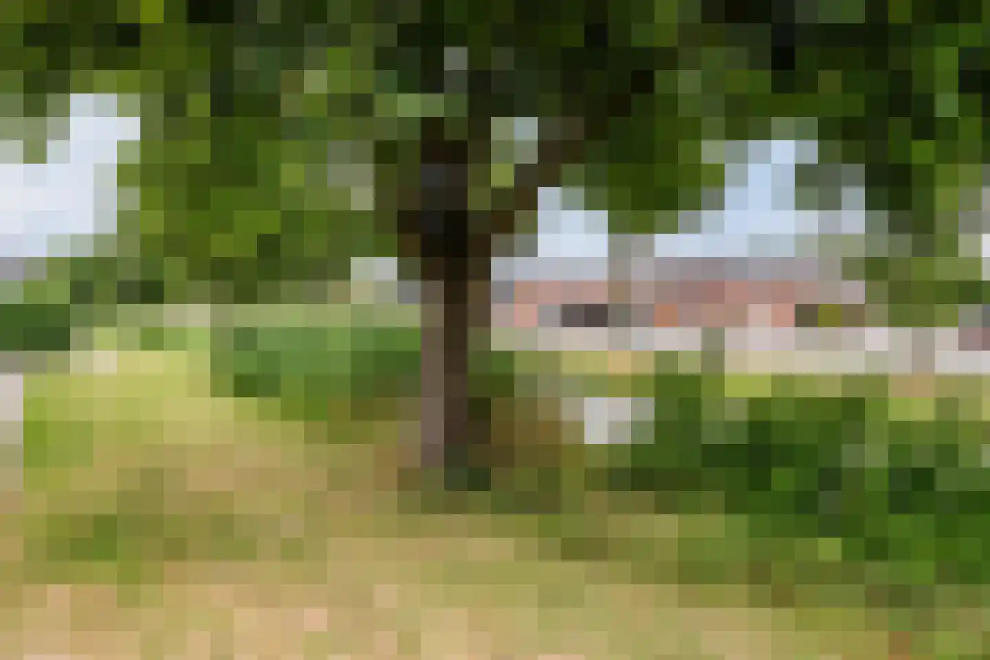 Korteweide 16 Zuid-Scharwoude thumbnail 31