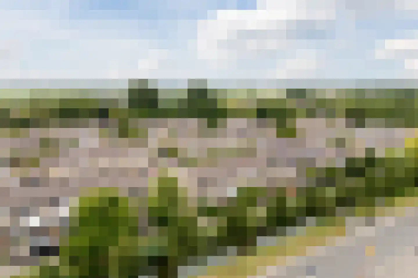 Korteweide 16 Zuid-Scharwoude thumbnail 34