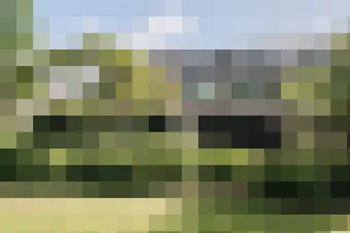 Korteweide 182 Zuid-Scharwoude thumbnail 53