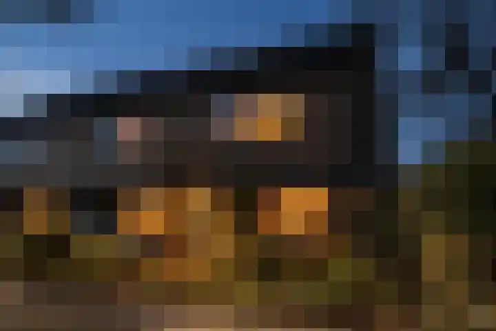 Korteweide 89 Zuid-Scharwoude thumbnail 5