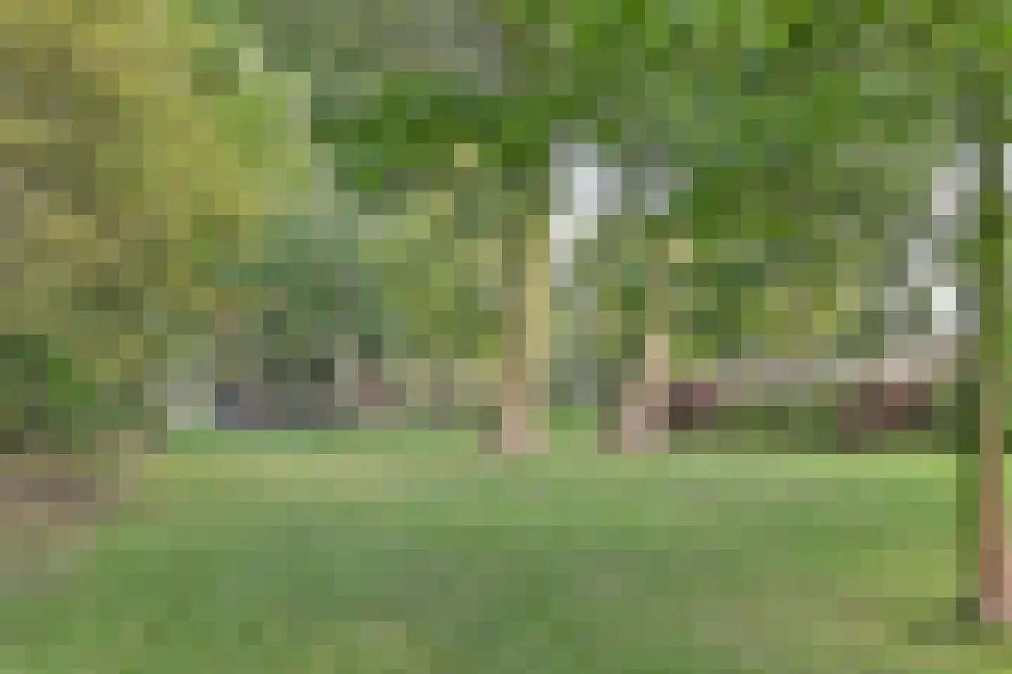 Korteweide 95 Zuid-Scharwoude thumbnail 47
