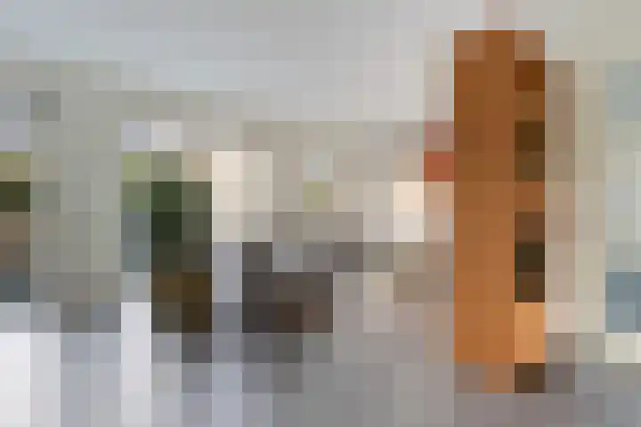 Kortezoom 9 Reeuwijk thumbnail 10