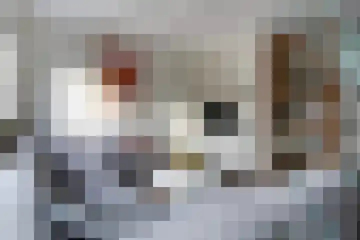 Kortezoom 9 Reeuwijk thumbnail 13