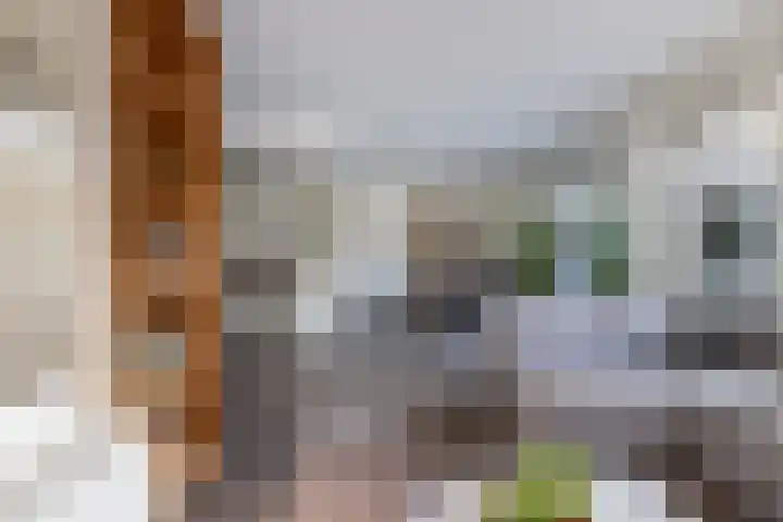 Kortezoom 9 Reeuwijk thumbnail 15