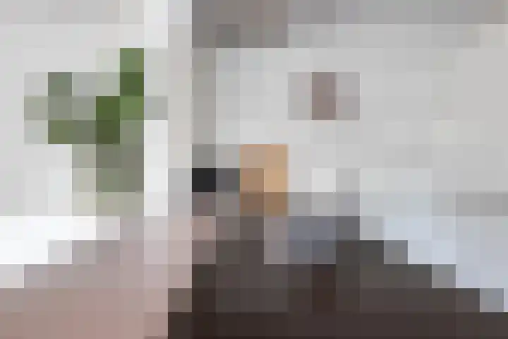 Kortezoom 9 Reeuwijk thumbnail 18