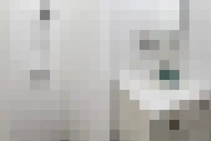 Kortezoom 9 Reeuwijk thumbnail 30