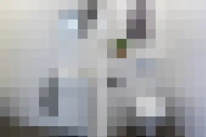 Kortezoom 9 Reeuwijk thumbnail 32