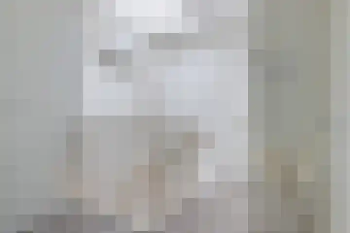 Kortezoom 9 Reeuwijk thumbnail 35