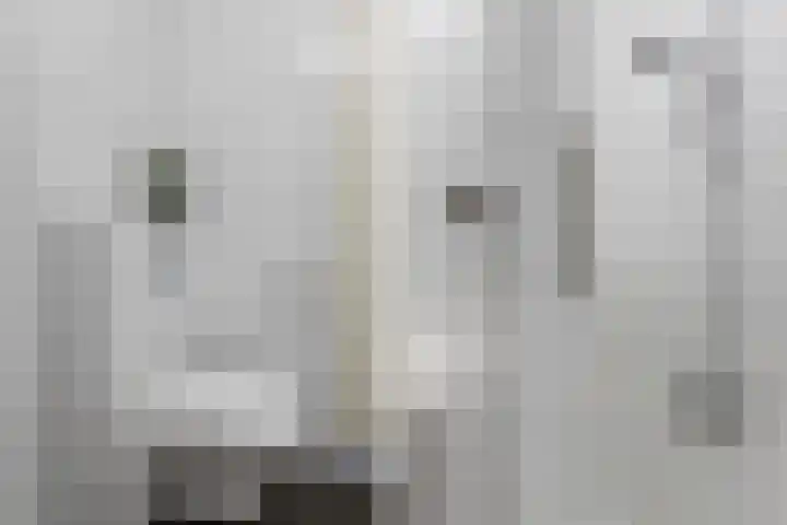 Kortezoom 9 Reeuwijk thumbnail 44