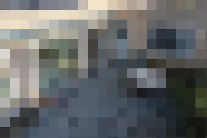 Kortezoom 9 Reeuwijk thumbnail 56