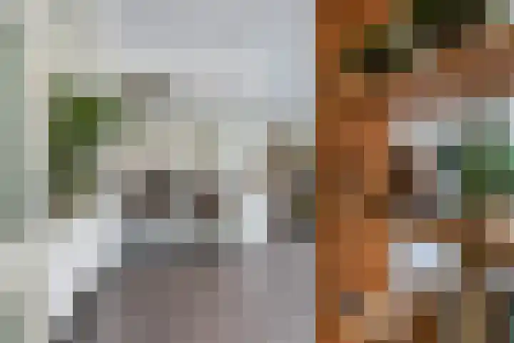 Kortezoom 9 Reeuwijk thumbnail 8