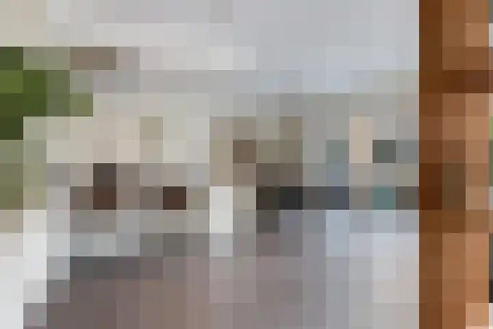 Kortezoom 9 Reeuwijk thumbnail 9