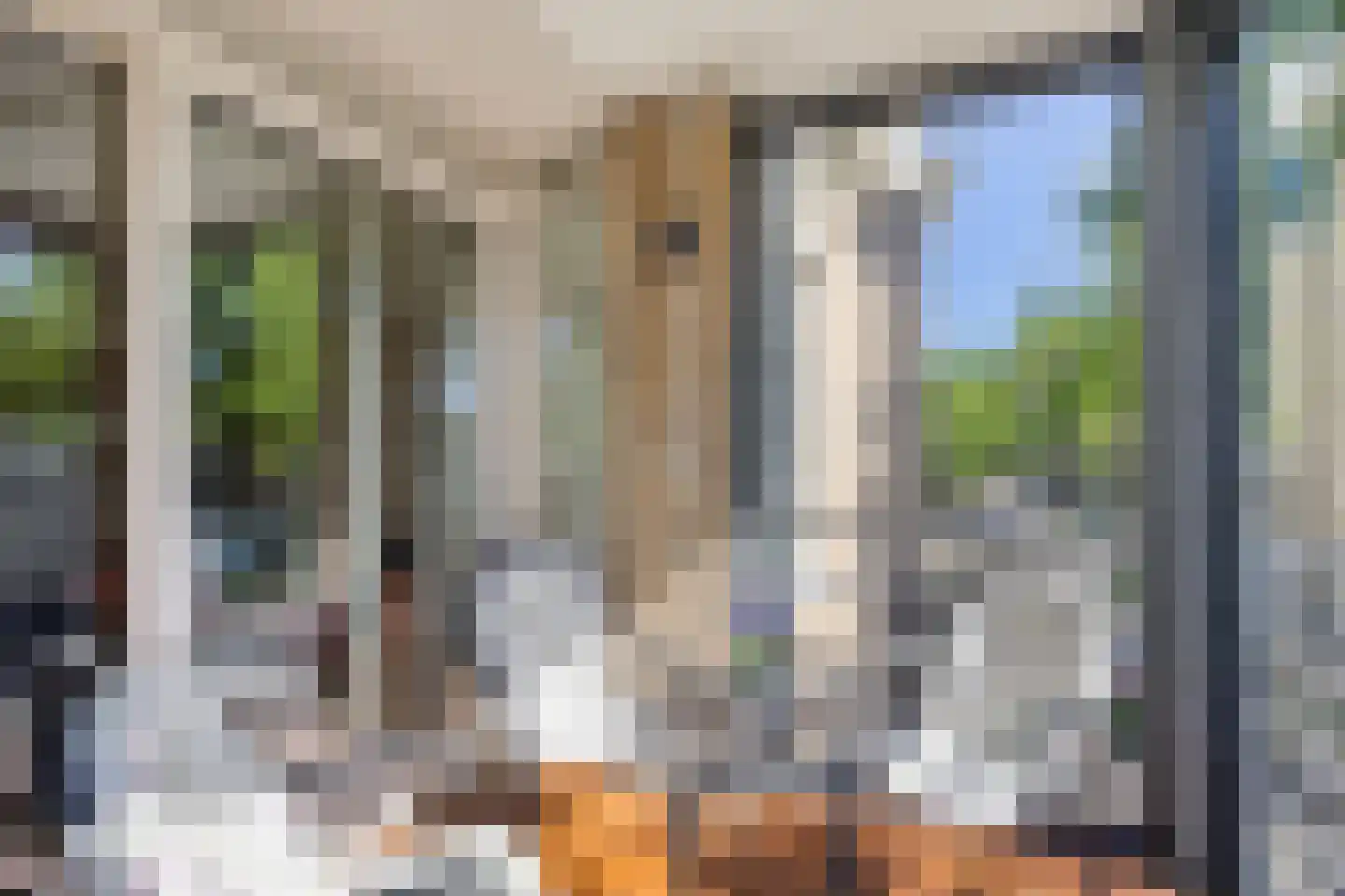 Kortfoortstraat 133 C Oss thumbnail 25
