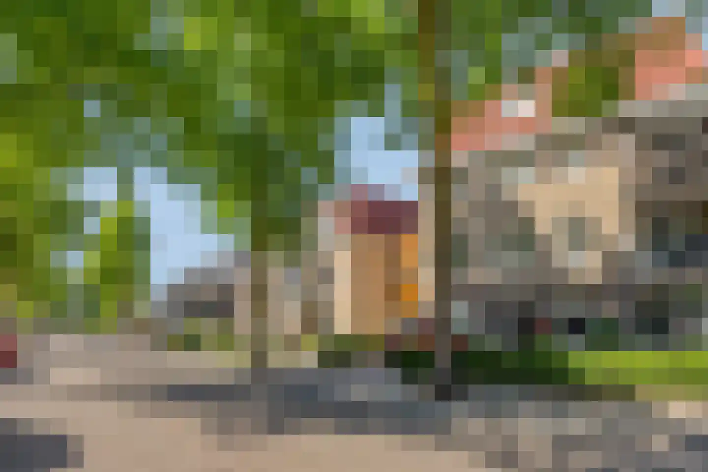 Kortfoortstraat 133 C Oss thumbnail 35
