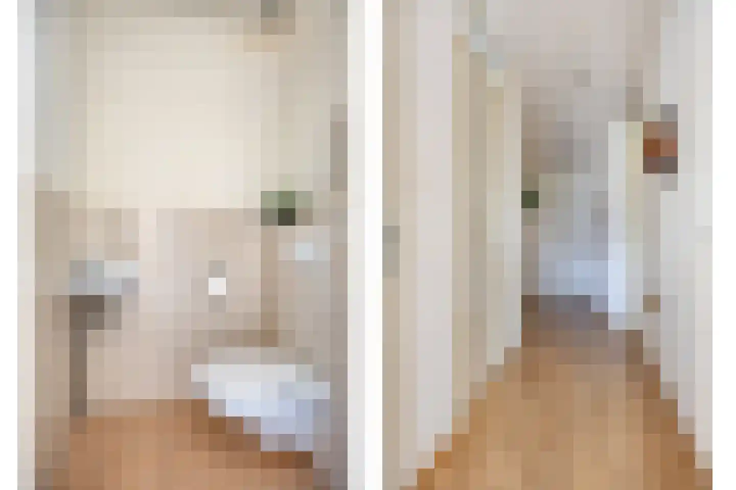 Kortfoortstraat 133 C Oss thumbnail 9
