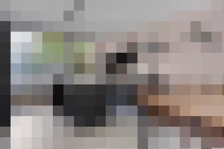 Kortfoortstraat 2 Oss thumbnail 11