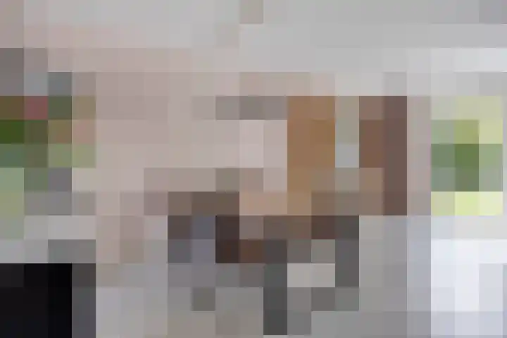 Kortfoortstraat 2 Oss thumbnail 12