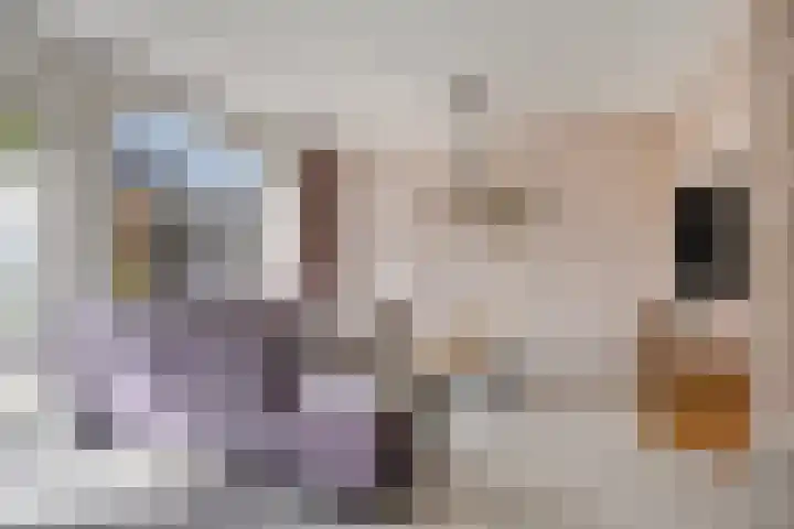 Kortfoortstraat 2 Oss thumbnail 14