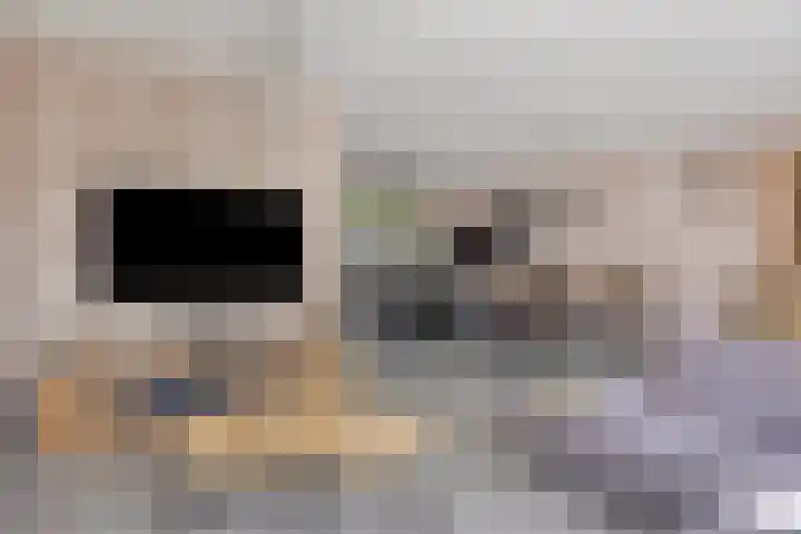 Kortfoortstraat 2 Oss thumbnail 16
