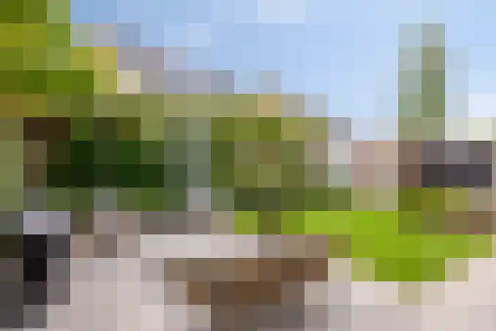 Kortfoortstraat 2 Oss thumbnail 17