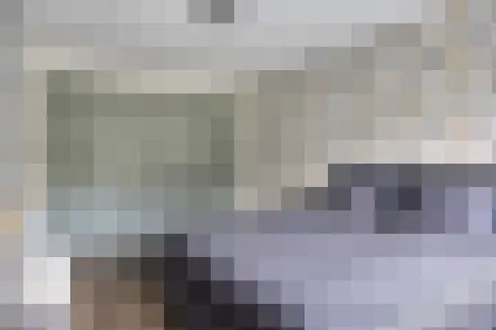 Kortfoortstraat 2 Oss thumbnail 23