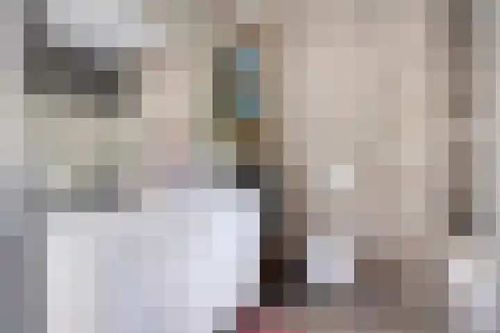 Kortfoortstraat 2 Oss thumbnail 24