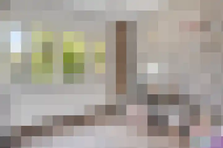 Kortfoortstraat 2 Oss thumbnail 28