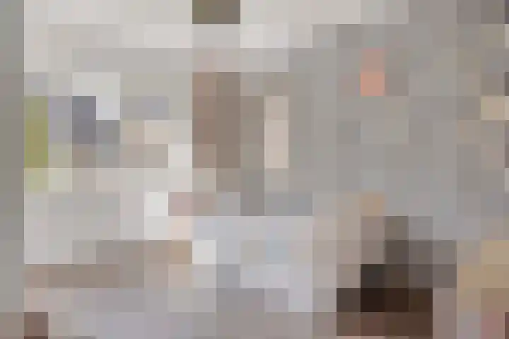 Kortfoortstraat 2 Oss thumbnail 29