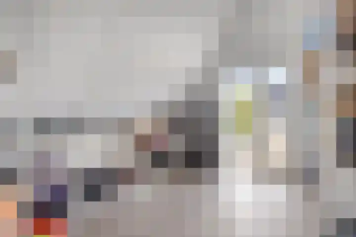 Kortfoortstraat 2 Oss thumbnail 34