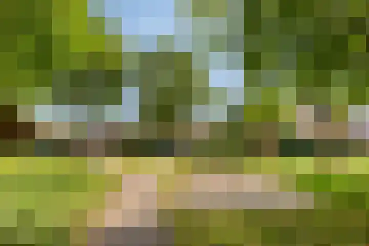 Kortfoortstraat 2 Oss thumbnail 38